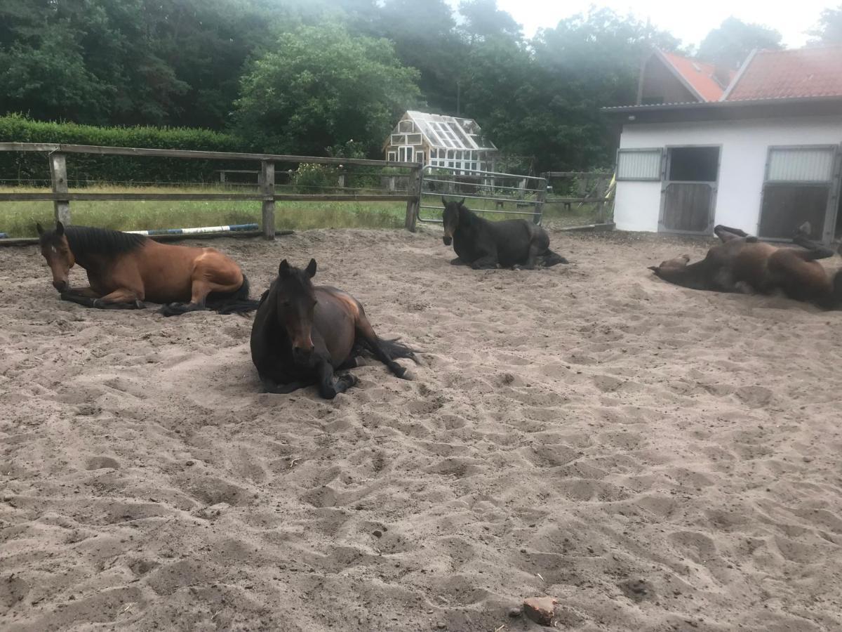 Alter Bahnhof Otersen Appartement Kirchlinteln Buitenkant foto